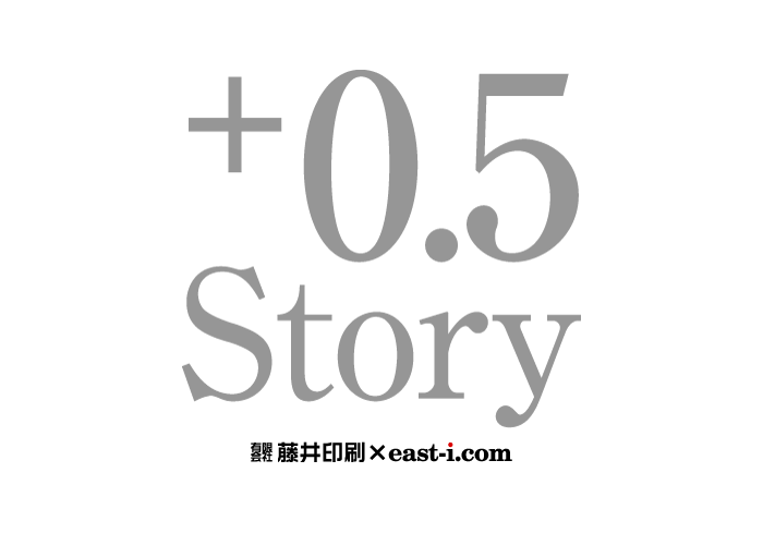 +0.5 Story